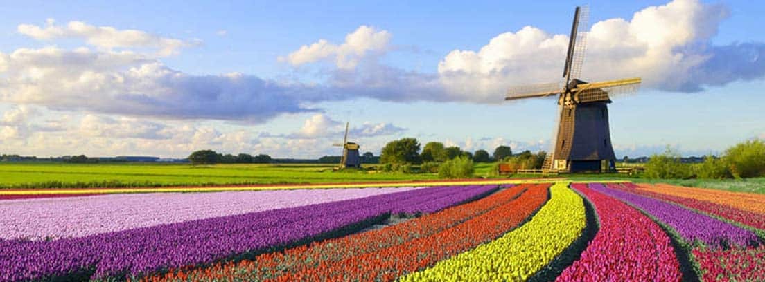Cuánto cobra un jubilado en Holanda