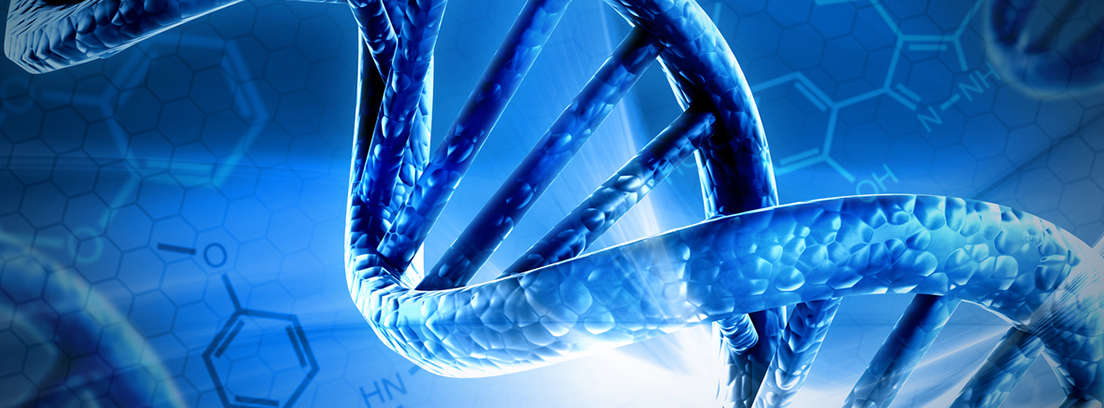 Genética y cambios en la inteligencia