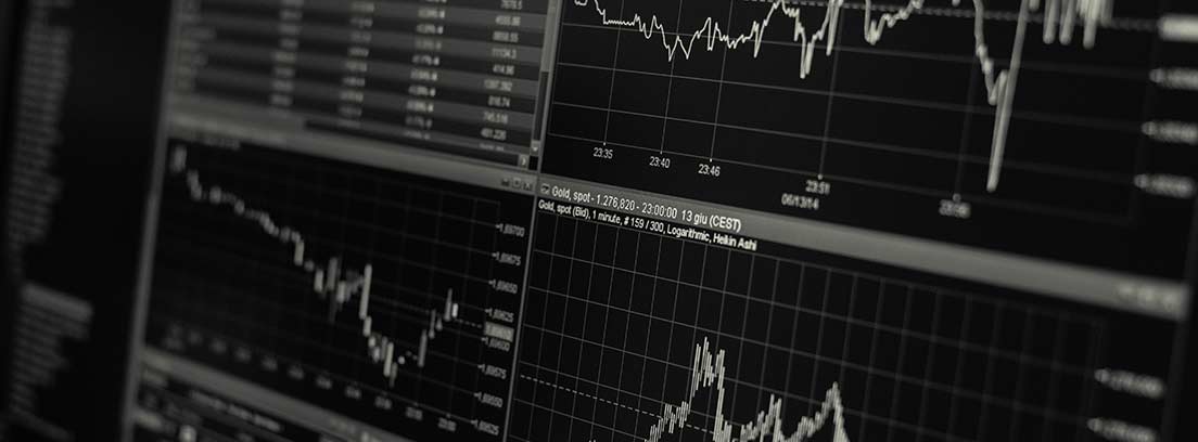 Plan de pensiones de renta variable
