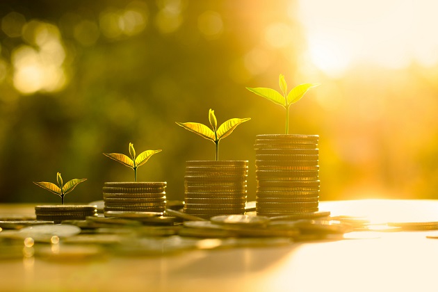 Valores de renta variable y renta fija: Diferencias