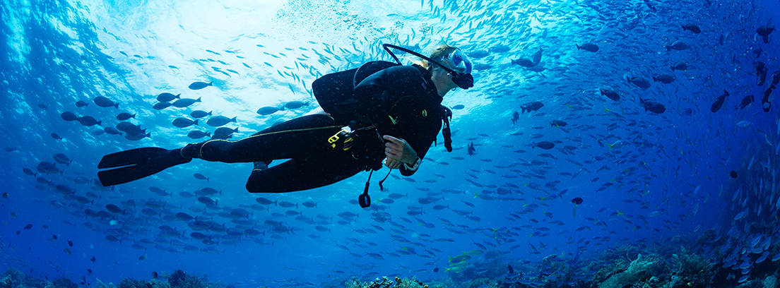 Carreras relacionadas con el mar