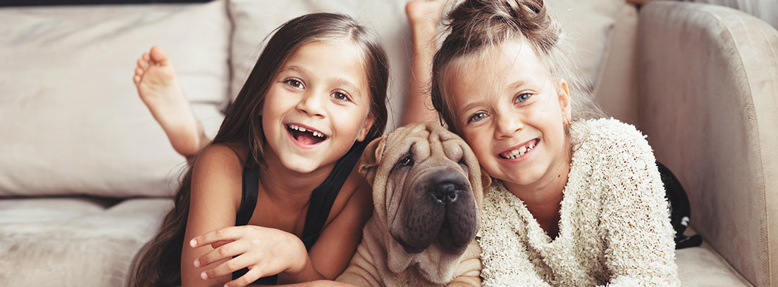 ¿Qué ocurre con las mascotas en caso de divorcio?