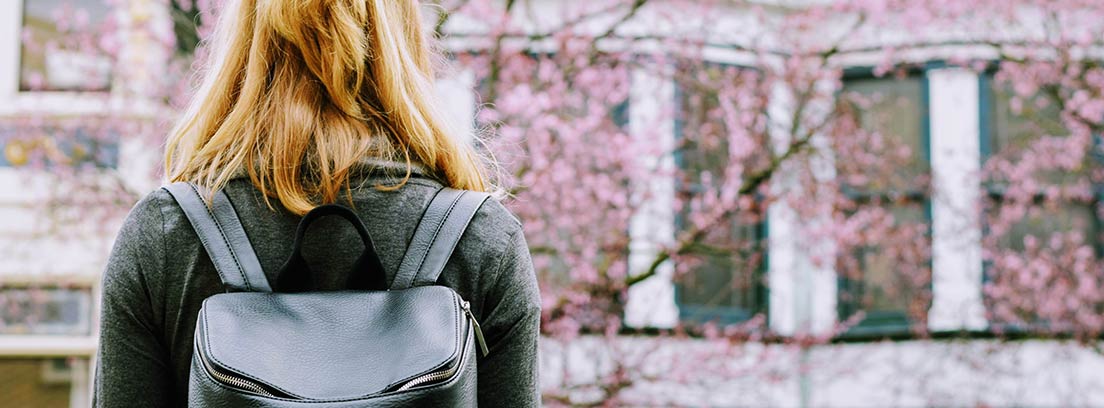 ¿Qué estudiar, FP o Bachillerato?