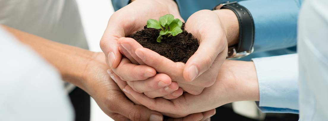 Responsabilidad medioambiental de la empresa