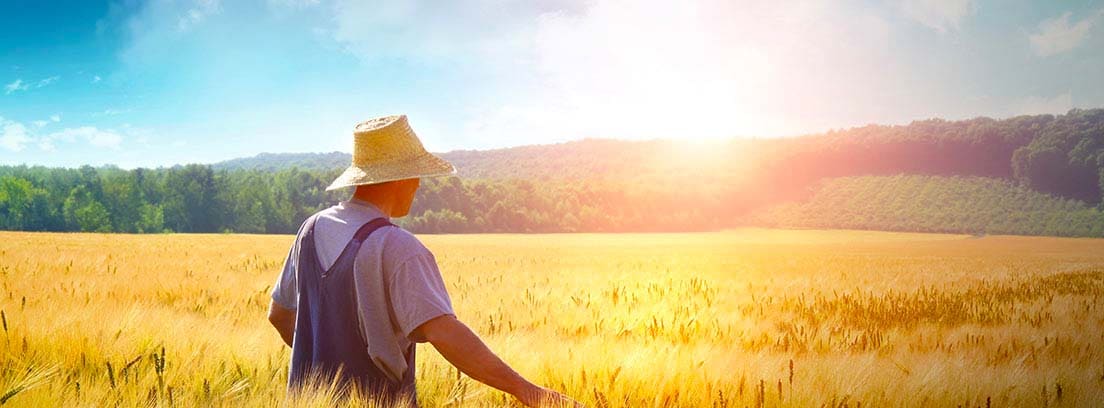 Cuánto cobra un jubilado del régimen agrario