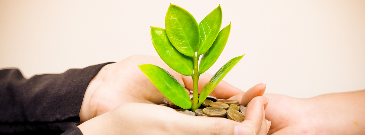 ¿Qué hay que saber para invertir en fondos de inversión?