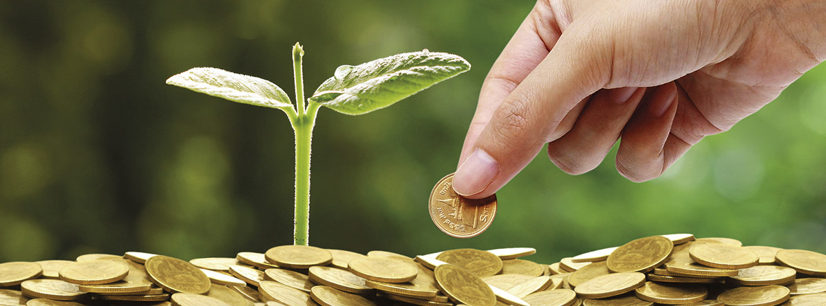 Ideas para invertir en el nuevo entorno económico