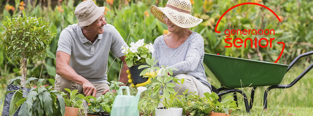 Beneficios de la jardinería para personas mayores