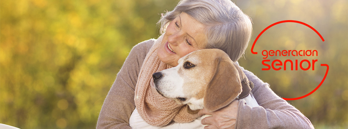 Perro para personas mayores
