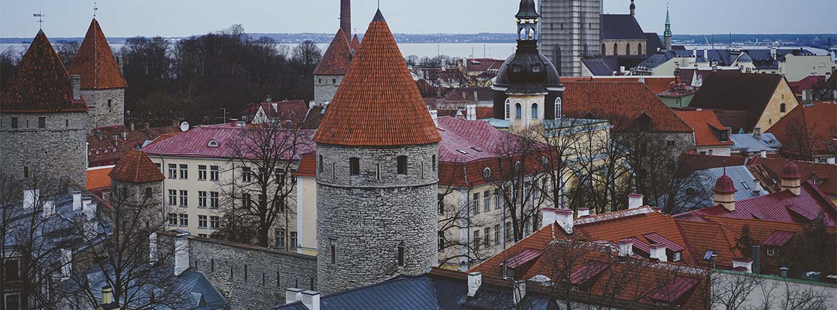 Residencia Digital en Estonia ¿sí o no?
